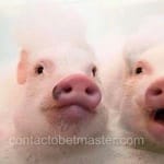 Avatar Alejandra Reyes