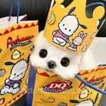 Avatar Andrea Delgado